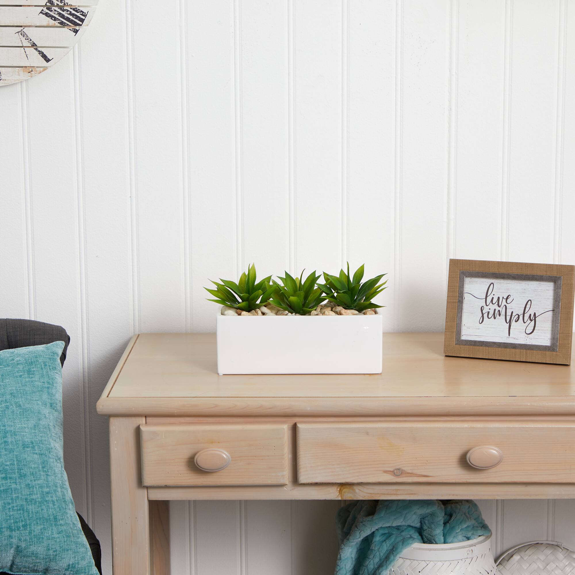 13" Agave Succulent in White Rectangular Planter